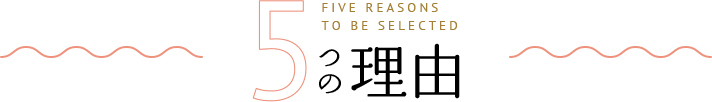 5 FIVE REASONS TO BE SELECTED